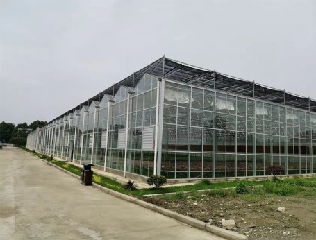 連棟玻璃溫室
