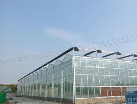 玻璃溫室