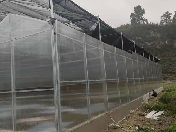 陽(yáng)光板溫室
