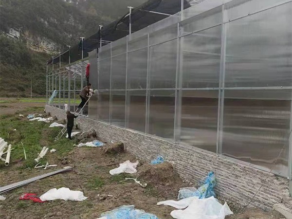 陽(yáng)光板溫室